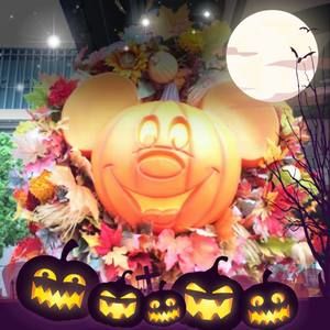 Meet your Posher, Holli